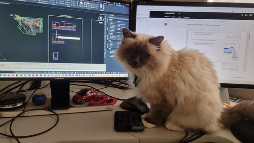 Frankie learning Civil 3D CAD