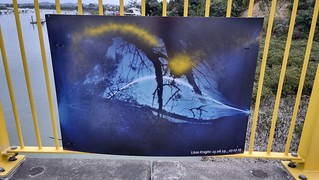 Pinhole Camera Art, Whau River, SH16 North Western Path