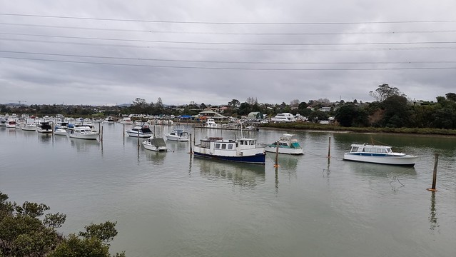 Whau River, SH16 North Western Path