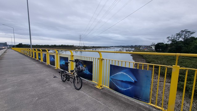 Pinhole Camera Art, Whau River, SH16 North Western Path