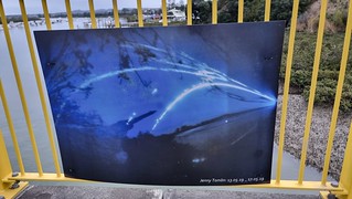 Pinhole Camera Art, Whau River, SH16 North Western Path