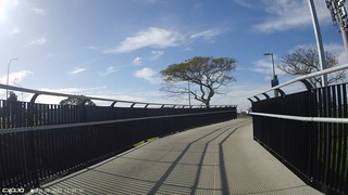 New Lynn Avondale Path