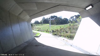 New Lynn Avondale Path