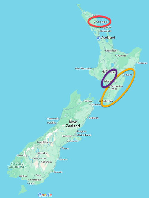 NZ_Drive_Cycle_Map_Base-2025-01-Plan
