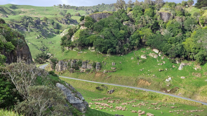 Waikawau Stream Valley, Limestone Downs, about 8km South of Port Waikato Waikawau Stream Valley, Limestone Downs, about 8km South of Port Waikato