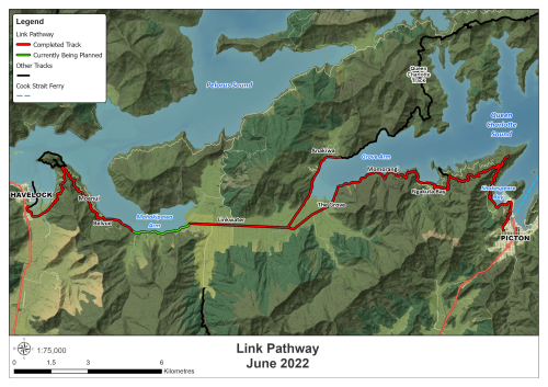 Link_Pathway_June_2022