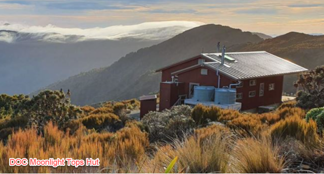 PaparoaTrackMoonlightTopsHutt