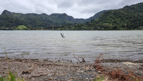 20211011_140005 20211011_140005