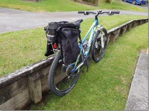 Topeak Beam Rack Unfurled