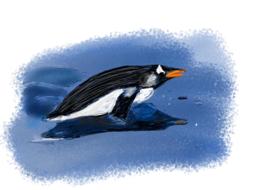 Penguin Sketch Day 2021 (Final)