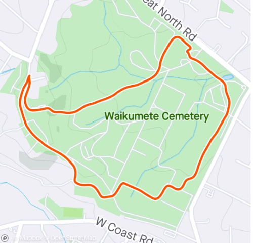 Waikumete_2020-03-07 195007