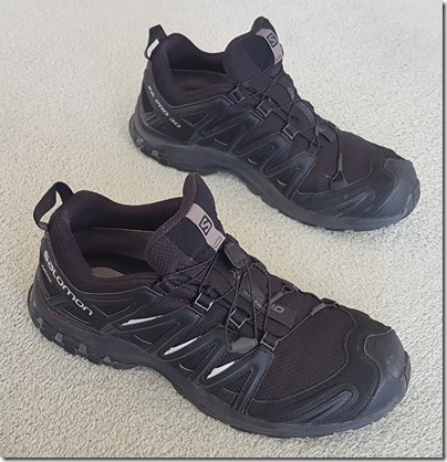 Salomon Trail Running Shoe XA PRO 3D GTX