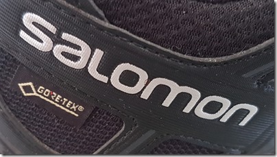 Salomon Trail Running Shoe XA PRO 3D GTX GORE-TEX