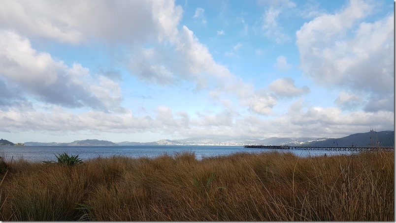 Petone Seafront