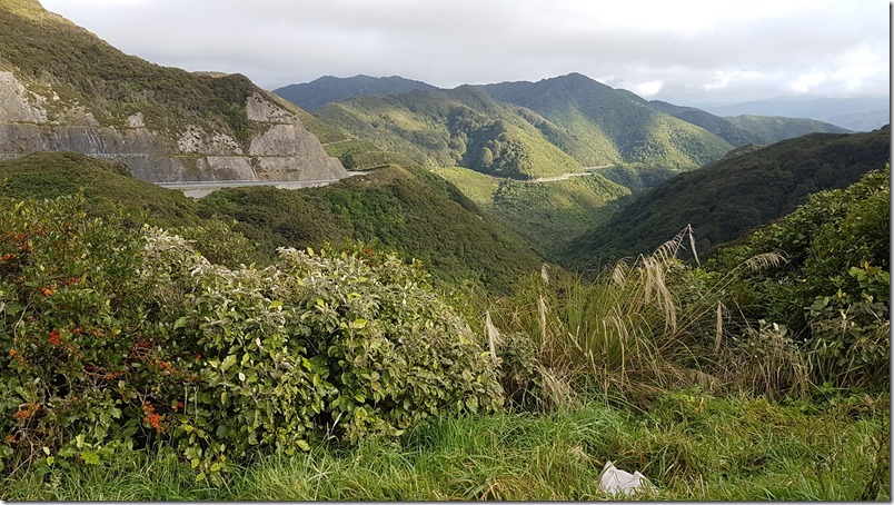 Rimutaka Hill