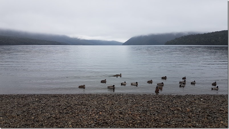 Lake Rotoiti, St Anaud
