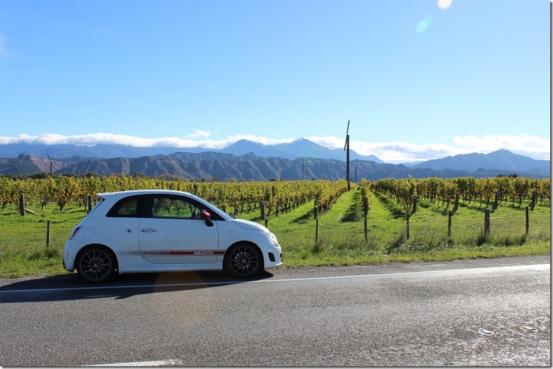 Wairau Valley