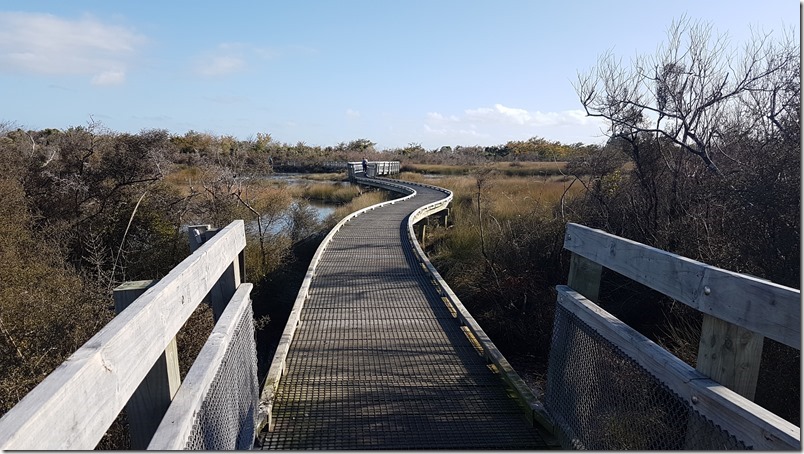 Kawatiri River Trail