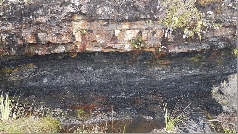 Denniston Coalfield