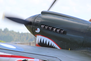 Curtiss P-40 Warhawk