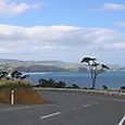 Florence Hill, Tahakopa Bay in the background