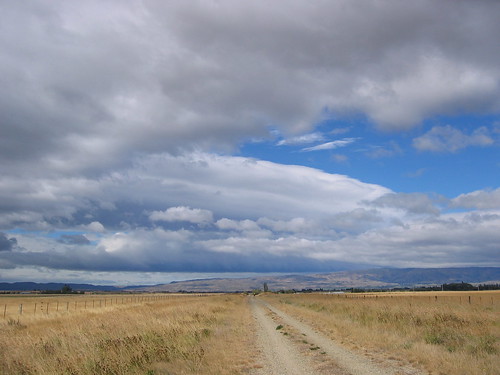 The crowded Otago Rail Trail