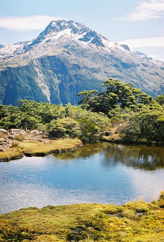 Milford Wilderness Cycle