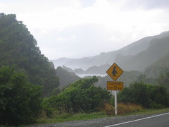 Penguins crossing
