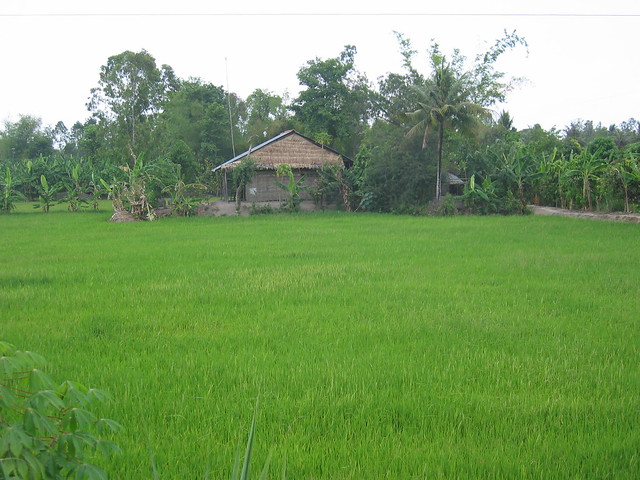 Rural scene
