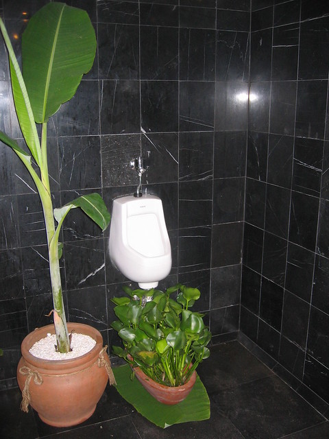 A novel way to recycle... drips