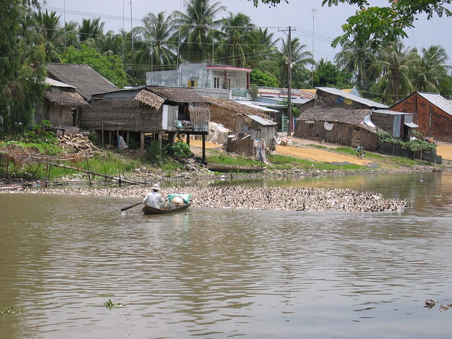 How do you herd ducks?!