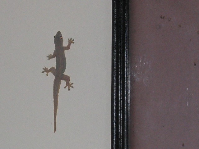 Living art, in the hotel