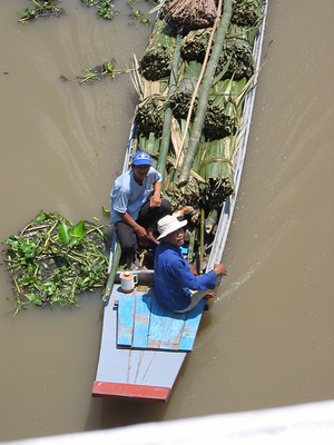 Working boat