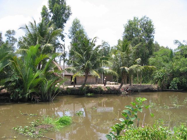 Cool home by the river