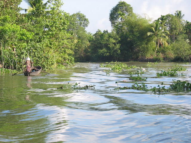 Zooming past the standup rower