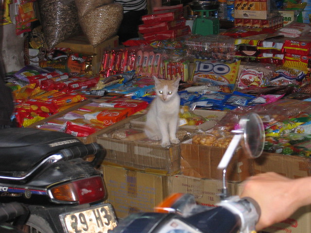 Market Merchandising