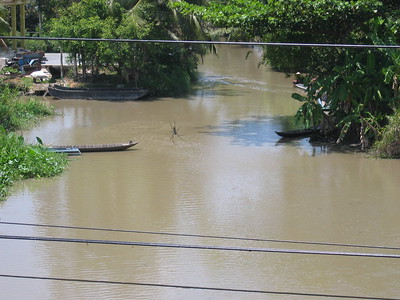 A view with a spider
