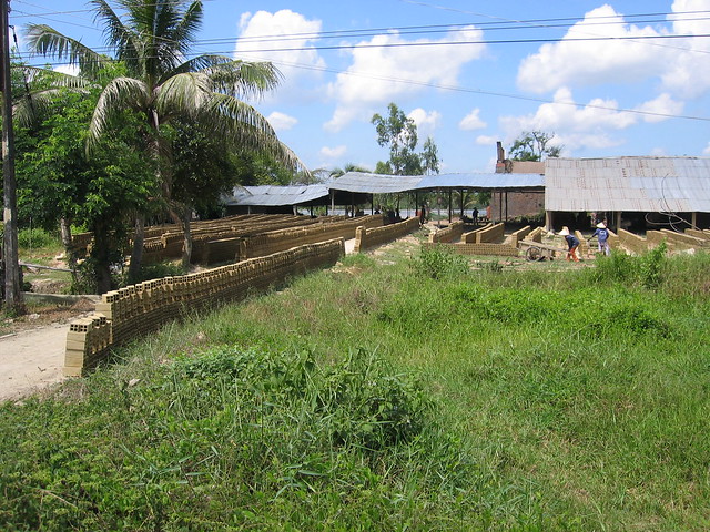 Mud bricks drying