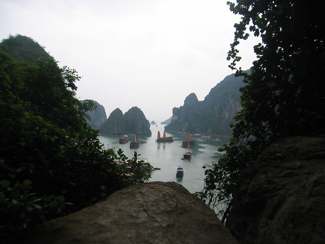 Spectacular view from the cave mouth