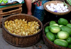 Cute product in the market