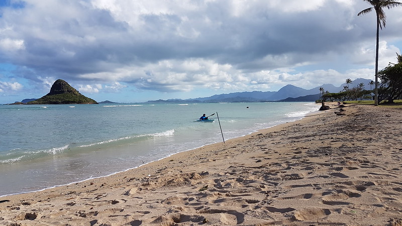 Should have had a swim...