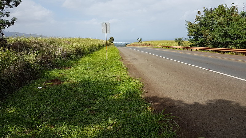 On 803 heading inland