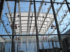 California Academy of Sciences