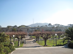 California Academy of Sciences