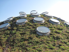 The Living Roof