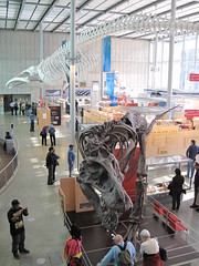 California Academy of Sciences