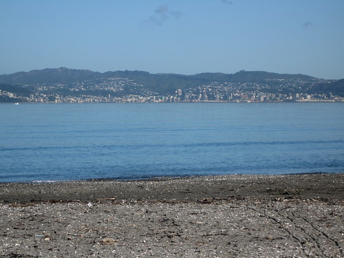 Wellington on a nice Monday morning