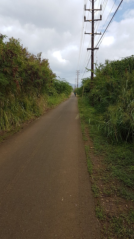Pearl Harbour Bike Path