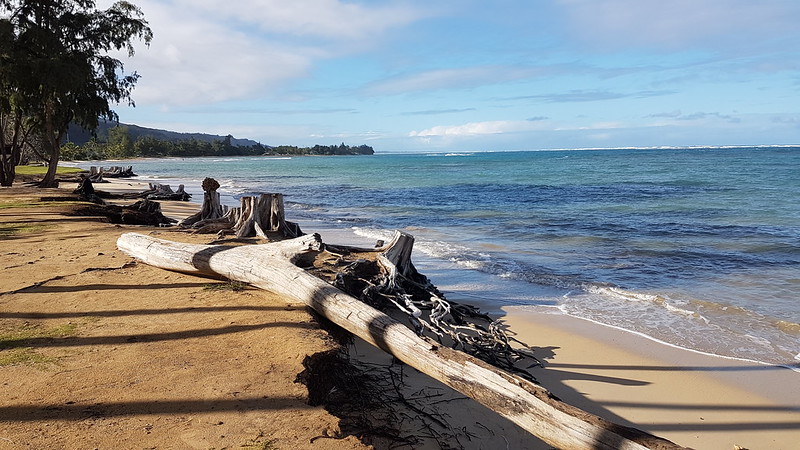 Beach approaching Laie