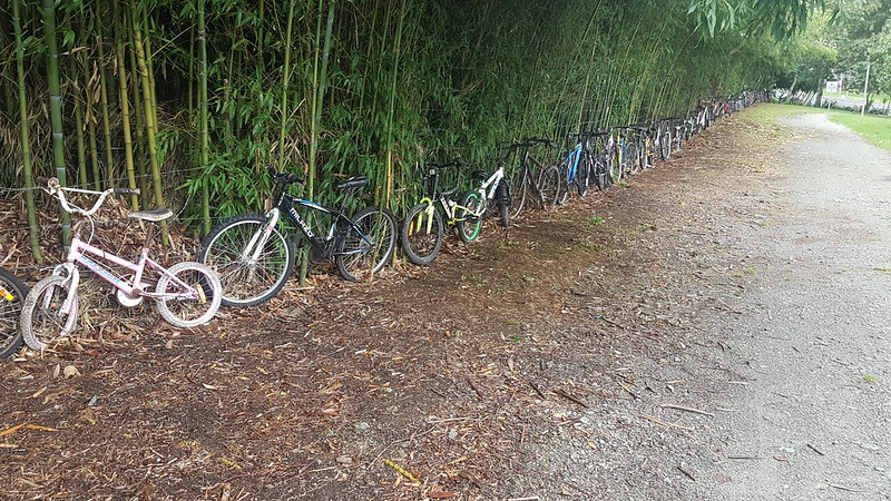 Bike Fence Kaikohe